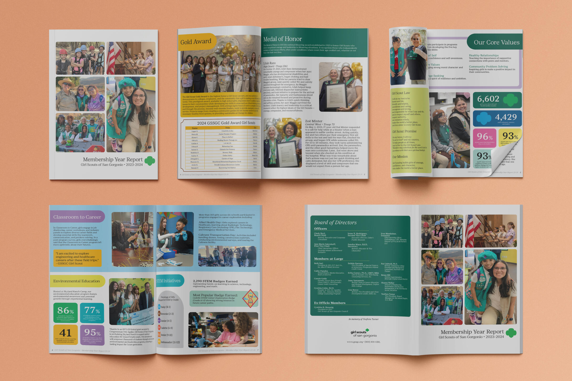 Created a new website from scratch with Marketing Director